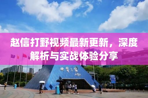 赵信打野视频最新更新，深度解析与实战体验分享