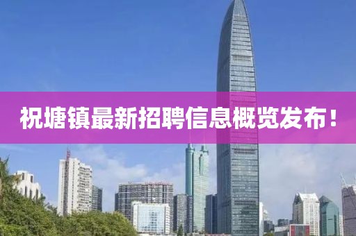 2024年12月 第307页