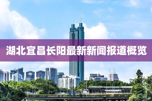 2024年12月 第299页