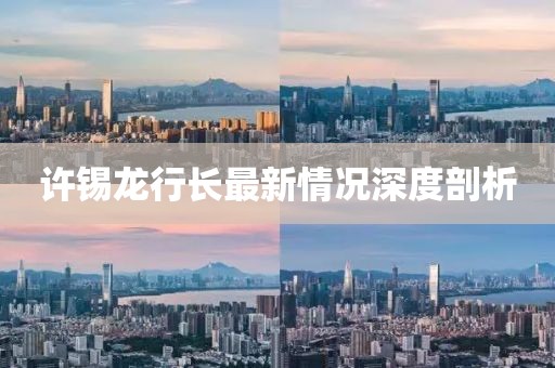 许锡龙行长最新情况深度剖析