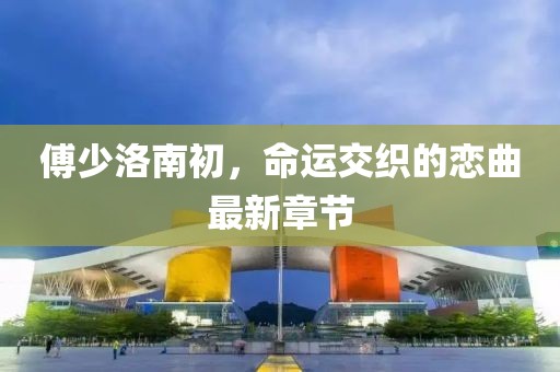 傅少洛南初，命运交织的恋曲最新章节