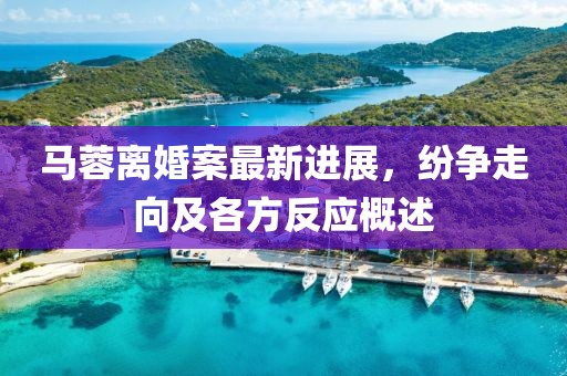 马蓉离婚案最新进展，纷争走向及各方反应概述
