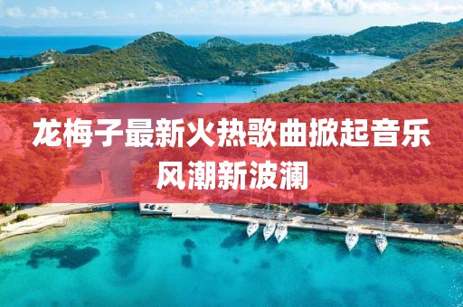 龙梅子最新火热歌曲掀起音乐风潮新波澜