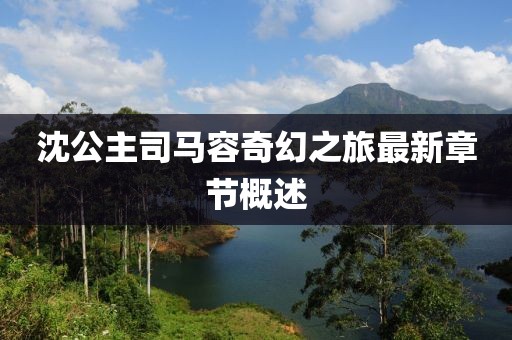 沈公主司马容奇幻之旅最新章节概述