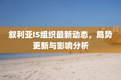 叙利亚IS组织最新动态，局势更新与影响分析