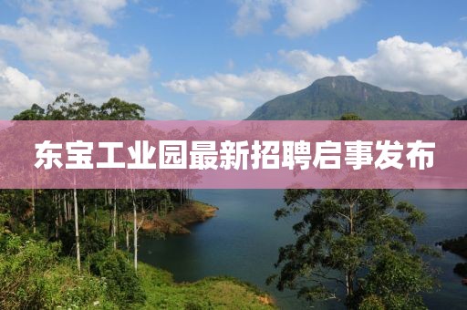 东宝工业园最新招聘启事发布
