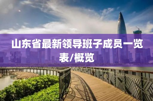 山东省最新领导班子成员一览表/概览