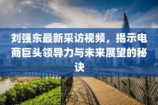 刘强东最新采访视频，揭示电商巨头领导力与未来展望的秘诀