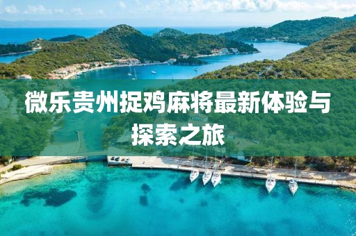 微乐贵州捉鸡麻将最新体验与探索之旅