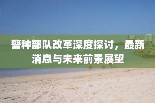 警种部队改革深度探讨，最新消息与未来前景展望