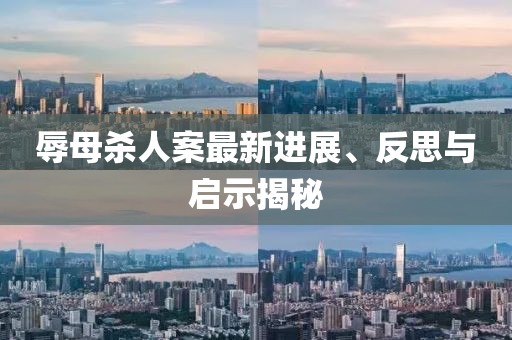辱母杀人案最新进展、反思与启示揭秘