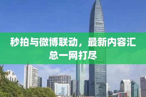 2025年1月 第371页