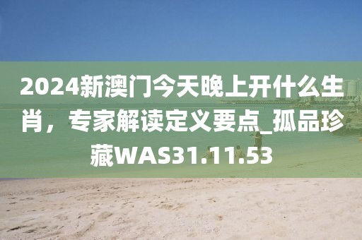 2024新澳门今天晚上开什么生肖，专家解读定义要点_孤品珍藏WAS31.11.53