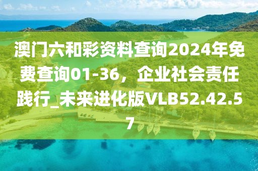 澳门六和彩资料查询2024年免费查询01-36，企业社会责任践行_未来进化版VLB52.42.57