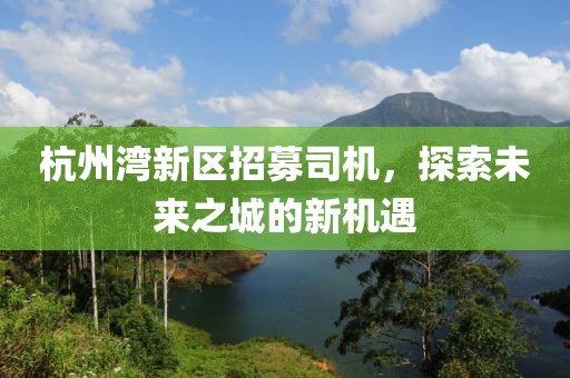 杭州湾新区招募司机，探索未来之城的新机遇