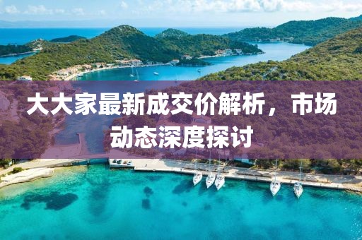 大大家最新成交价解析，市场动态深度探讨