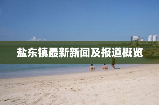 盐东镇最新新闻及报道概览