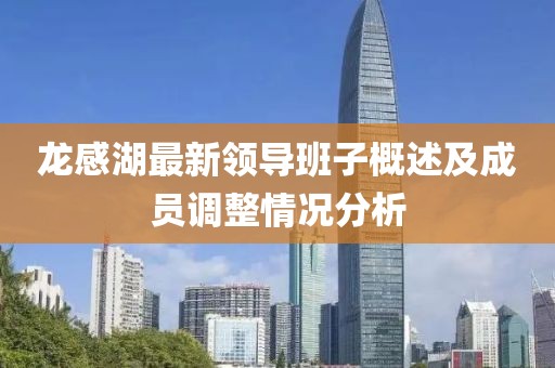 龙感湖最新领导班子概述及成员调整情况分析