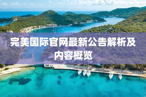 完美国际官网最新公告解析及内容概览