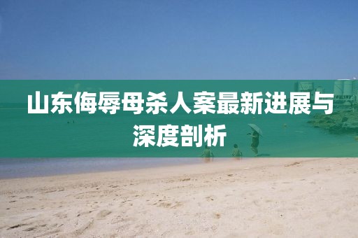 山东侮辱母杀人案最新进展与深度剖析