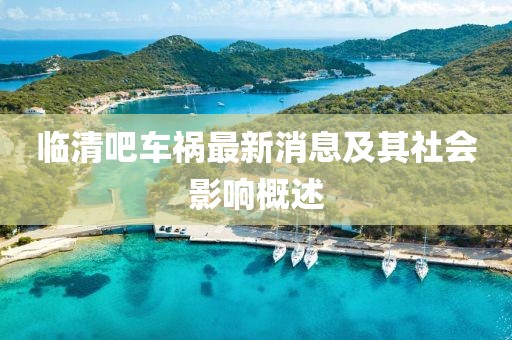 临清吧车祸最新消息及其社会影响概述