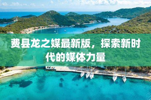 费县龙之媒最新版，探索新时代的媒体力量