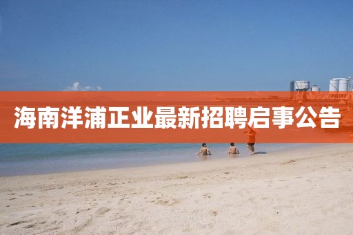 海南洋浦正业最新招聘启事公告