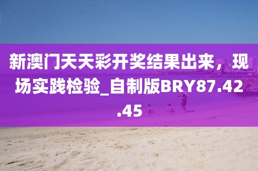 新澳门天天彩开奖结果出来，现场实践检验_自制版BRY87.42.45