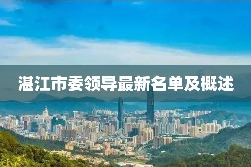 湛江市委领导最新名单及概述