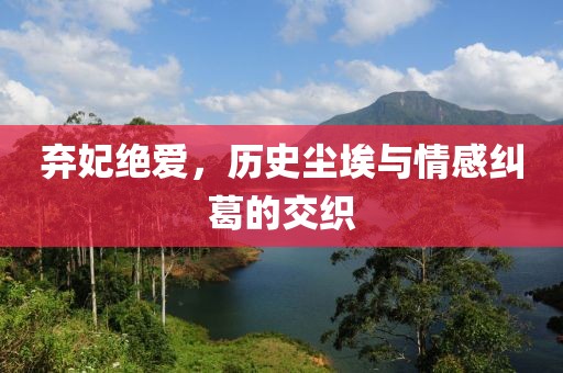 弃妃绝爱，历史尘埃与情感纠葛的交织