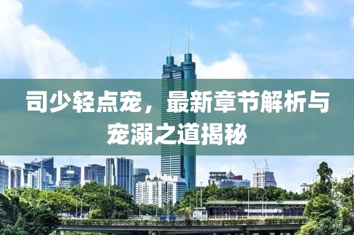 司少轻点宠，最新章节解析与宠溺之道揭秘