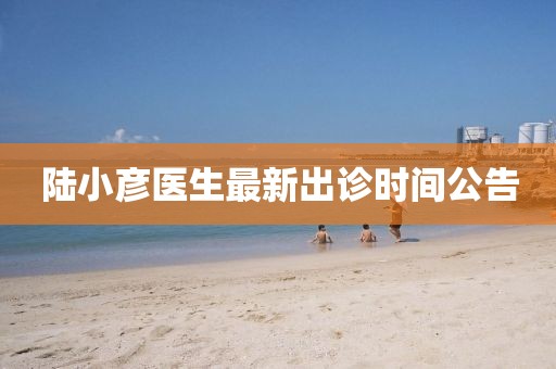陆小彦医生最新出诊时间公告