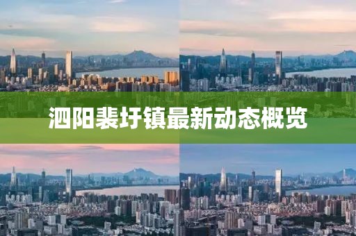 泗阳裴圩镇最新动态概览