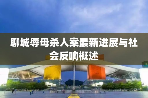 聊城辱母杀人案最新进展与社会反响概述
