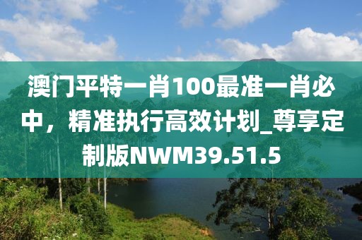 澳门平特一肖100最准一肖必中，精准执行高效计划_尊享定制版NWM39.51.5