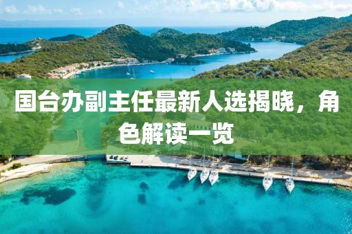 国台办副主任最新人选揭晓，角色解读一览