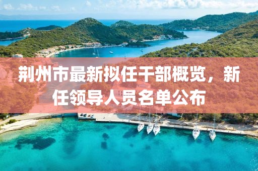 荆州市最新拟任干部概览，新任领导人员名单公布