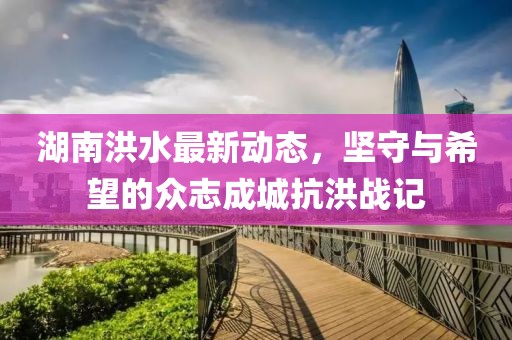 湖南洪水最新动态，坚守与希望的众志成城抗洪战记