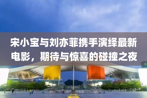 宋小宝与刘亦菲携手演绎最新电影，期待与惊喜的碰撞之夜
