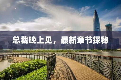 总裁晚上见，最新章节探秘