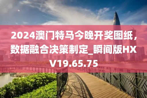 2024澳门特马今晚开奖图纸，数据融合决策制定_瞬间版HXV19.65.75