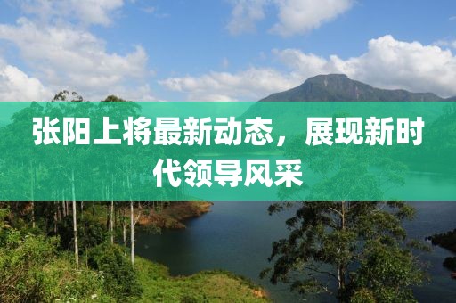 张阳上将最新动态，展现新时代领导风采
