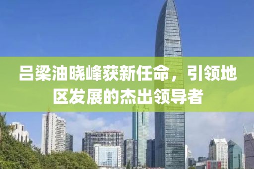 吕梁油晓峰获新任命，引领地区发展的杰出领导者