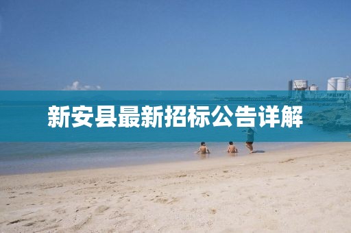 新安县最新招标公告详解