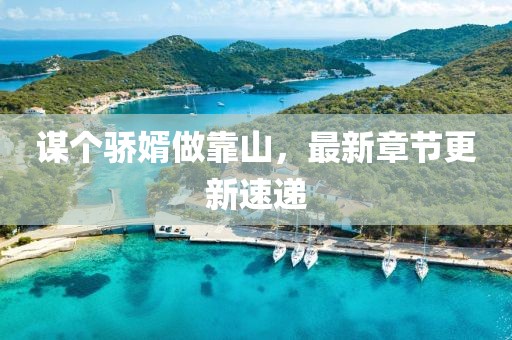 谋个骄婿做靠山，最新章节更新速递