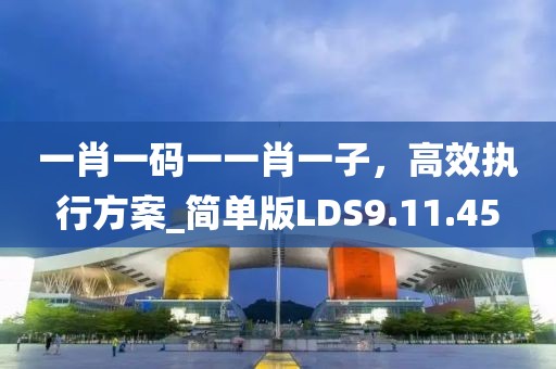一肖一码一一肖一子，高效执行方案_简单版LDS9.11.45