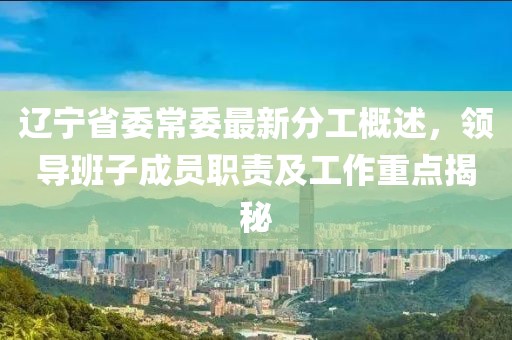 辽宁省委常委最新分工概述，领导班子成员职责及工作重点揭秘