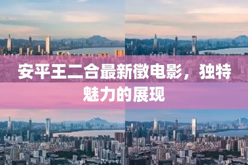 安平王二合最新徵电影，独特魅力的展现
