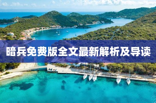 暗兵免费版全文最新解析及导读