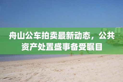 舟山公车拍卖最新动态，公共资产处置盛事备受瞩目
